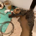Penrose Ln, Oakville, drain repair (14)