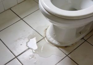 64b12df3-8d93-41f1-8753-8db2d19f0ae5